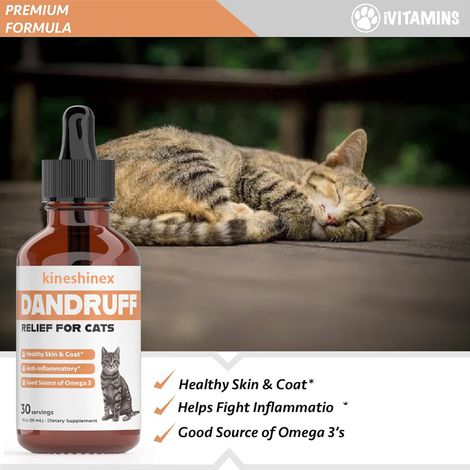 KineShineX Premium Pet Hair Oil eignet sich für Katzen und Hunde, pflegt die Haarwurzeln intensiv und repariert Spliss. (1/5)