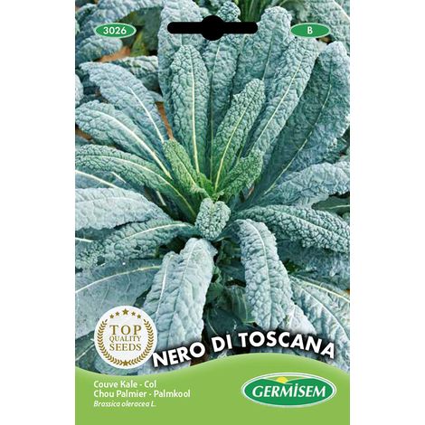 graines Chou NERO DI TOSCANA