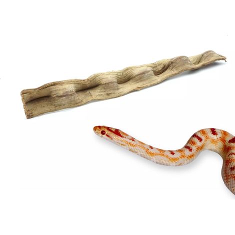 Liane brésilienne bio pour terrarium, épaisse, 100 cm (1/5)