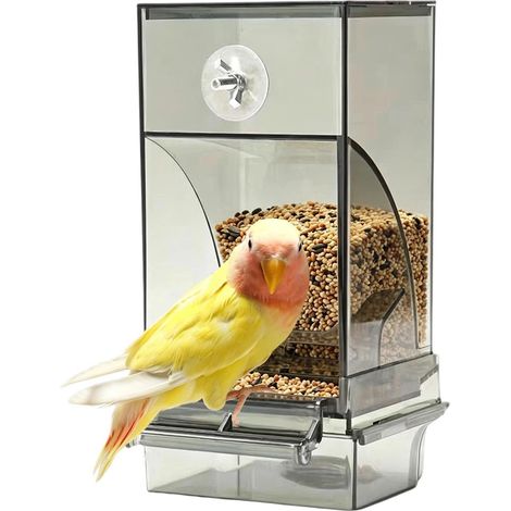 Mangeoire À Oiseaux pour Cage Bac Alimentaire Transparent avec Perchoir Mangeoire anti-gaspillage Pour Volière Perroquet Moine Maison Jardin Arrière-Cour Parc Balcon Ferme (1/5)