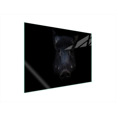GLASSCHUTZPLATTE FÜR HERD 70x52 BOAR (1/5)