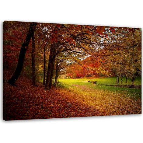 Tableau sur toile Forêt Feuilles Automne 60x40 (1/5)