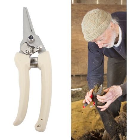 Coupe-Ongle Professionnel pour Animaux - Tailleur de Sabots Blanc en Acier Inoxydable et Carbone - Multiusage pour Chèvre, Mouton, Alpaga, Agneau