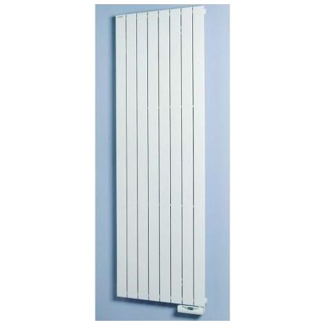 Radiateur électrique ACOVA - FASSANE Vertical 1250W - inertie fluide - THX-125-220-TF (1/4)