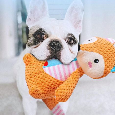 Plush Dog Toy with Built in Squeaker Entertaining Plaything to Keep Pets Engaged