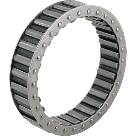 Cage à rouleaux BASS LF15010 (1/2)