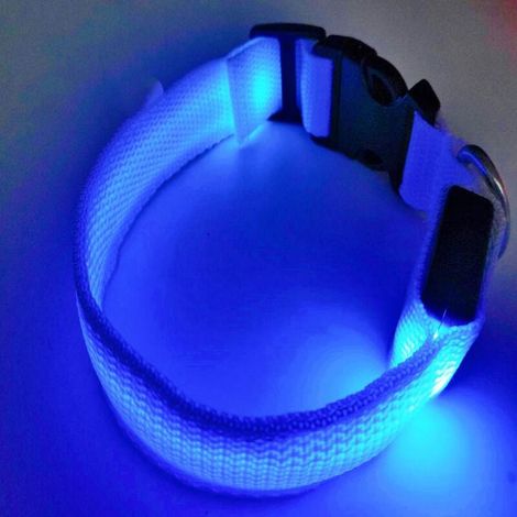 Collier lumineux LED rechargeable pour chien collier lumineux réfléchissant réglable (1/2)