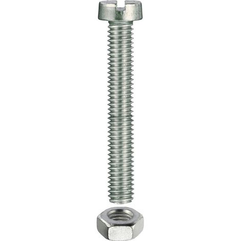 Viti per metallo testa cilindrica M5 x 16 - 10 pz.