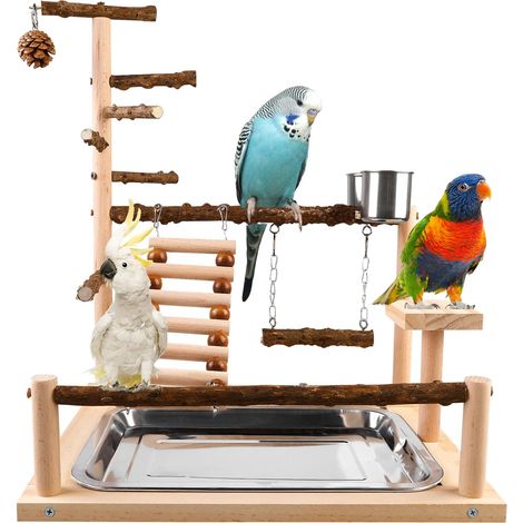 Aire de Jeux pour Perroquets (45x37x26 cm) avec Mangeoire et Plateau, Support d'Activité (1/5)