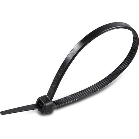 Serre-câble 2,5 x 150 mm Noir (1/5)