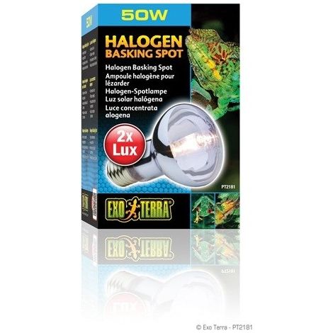 EXO Terra Halogen -Beinspot 50 W.