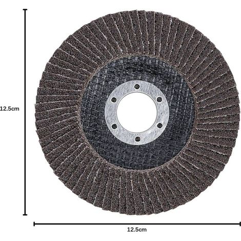 Lot de 10 Disques Abrasifs à Lamelles 125 mm, disques à lamelles, pour Enlever Ebavure, Rouille, Polissage, Finition (1/5)