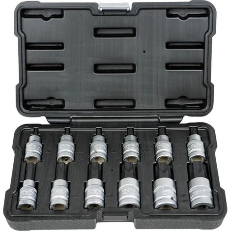 12 torx t20, t25, t30, t40, t45, t50, t55, t60, t70, t80, t90, t100 (1/2)