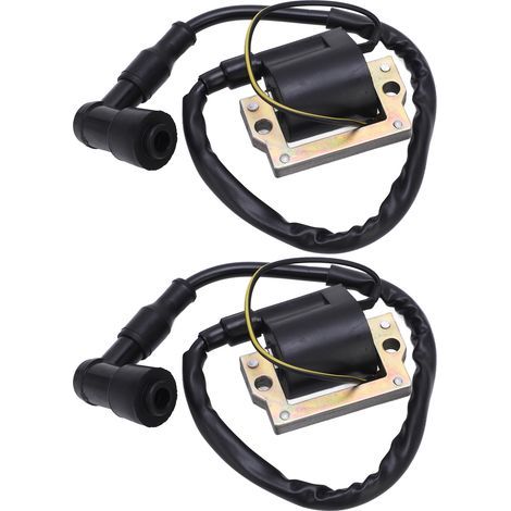 Bobine d'allumage Antirouille Résistant aux Hautes Températures à Faible Consommation de Carburant Bobine d'allumage pour Moto. (1/5)