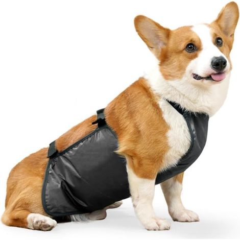 Costume pour chien imperméable, respirant, anti-saleté, gilet imperméable pratique pour chiens de petite et moyenne taille (taille M, gris) (1/5)