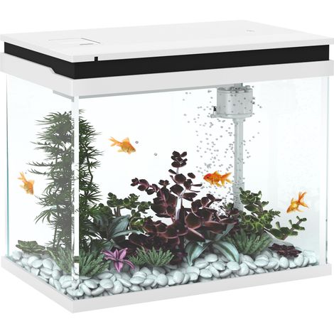 Aquarium en verre de 41 litres avec système de filtration, éclairage LED et pompe à eau, pour diverses espèces de poissons, blanc.