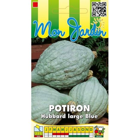 Potiron Hubbard large Blue - 3g