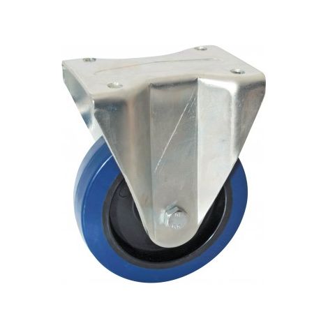 AVL ruota fissa blu 100 mm capacità 150 kg