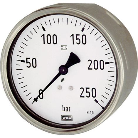 Riegler Manometer, Robustausfür, G 1/2 hinten exzentr., 0 - 2,5 bar, Ø 100 (1/2)