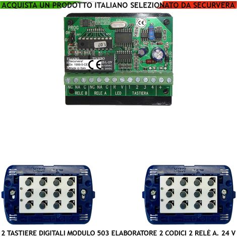 Tastiere da Incasso 2 Pezzi Elettronica Per Modulo 503 Un Elaboratore Remoto Gestisce 2 Attivazioni Antifurto Tensione 24 Vcc Codici DTMF 6 Cifre 2 Led e 2 Relè Liberi Con Funzioni Programmabili IP44 (1/3)