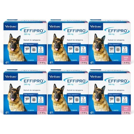 VIRBAC EFFIPRO spot-on pour grands chiens 24 x 268 mg (1/2)