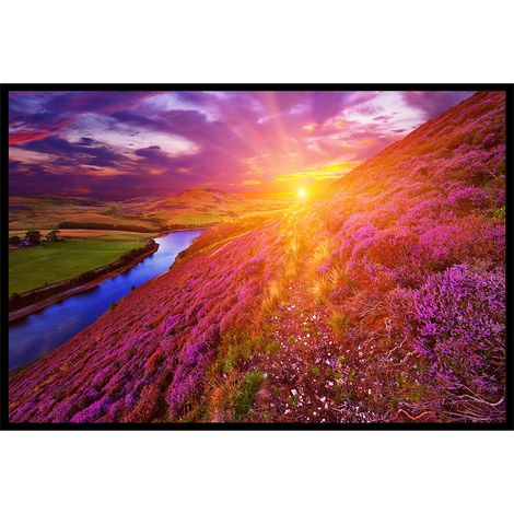 Affiche encadrée paysage de lande fleurie au coucher du soleil (1/5)