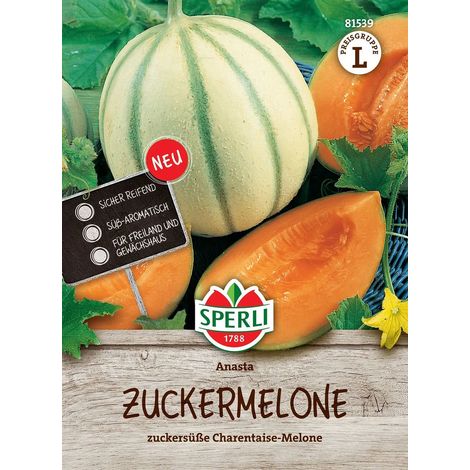 Sperli Zuckermelonen Anasta F1 - Hybride - Gemüsesamen (1/2)