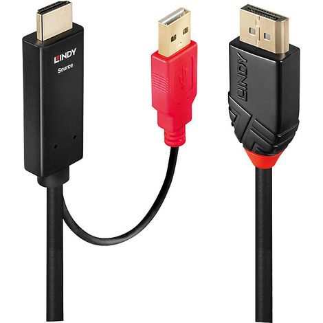 0.5m HDMI to DisplayPort Adapter Cable