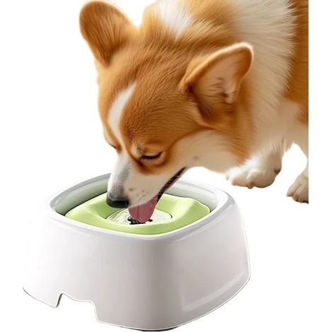 Gamelle anti-éclaboussures pour chat et chien, gobelet flottant, étanche, débit lent, anti-éclaboussures (1/5)