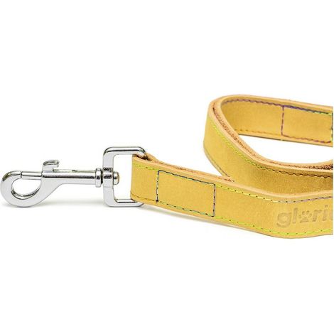 Guinzaglio per Cani Gloria Oasis 2.1 x 100 cm Giallo (1/5)