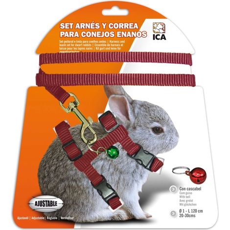 ICA DA1020 Set Imbracatura e Cinghia per Conigli Nani, Rosso