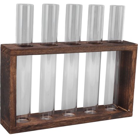 Terrarium transparent à 5 tubes à essai pour plantes, avec support en bois pour herbes aromatiques et couleur carbone, idéal pour observer la croissance.