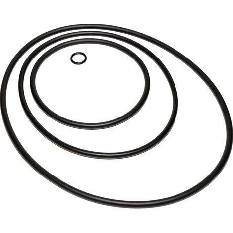 Reparatursatz O-Ringe Speck BADU Top / Bettar
