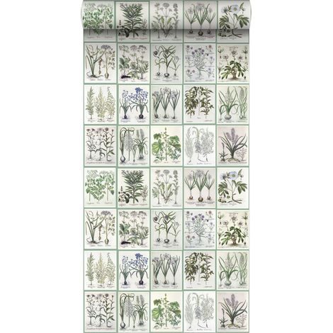 papier peint intissé XXL pages d'un livre botanique avec fleurs et plantes gris chaud clair et vert - ESTAhome (1/5)