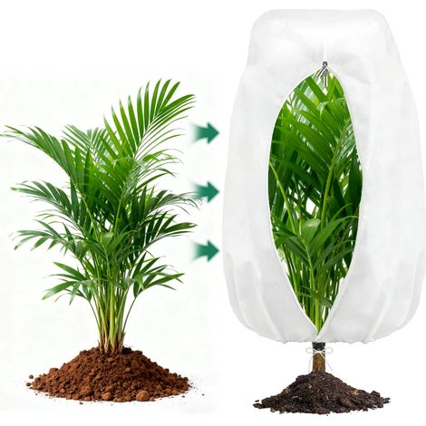 Voile Hivernage Plante Exterieur, 200240CM Housse Hivernage pour Plantes avec Cordon de Serrage et fermeture éclair, Housses de Protection Contre Le Gel, Bache Hivernage Protection Plante Hiver (1/5)