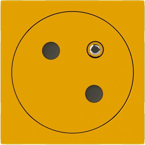 Prise de courant 2P+T Surface Mosaic Link raccordement latéral 2 modules jaune LEGRAND 077196L (1/3)