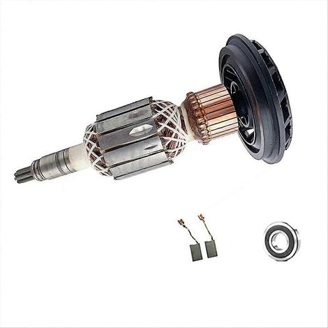 Rotor d'ancrage d'armature GSH11E pour marteau de démolition GBH11DE - Pièces détachées pour marteau GBH 11DE GSH11E (1/5)