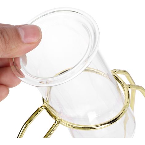 Transparente Hydrokultur-Pflanzvasen, goldene Tischdekorationen (1/5)