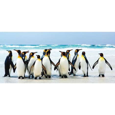 Penguins, photo murale, 202 x 90 cm, 1 part (1/2)