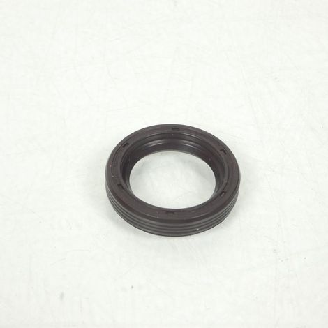 Spi Dichtung Motor für Motorrad rieju 50 rs1 Castrol