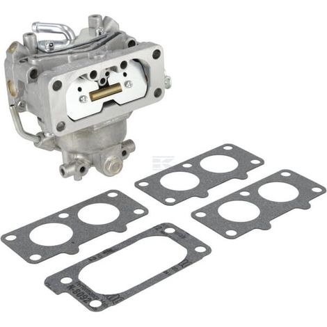 Carburateur BRIGGS & STRATTON 844372