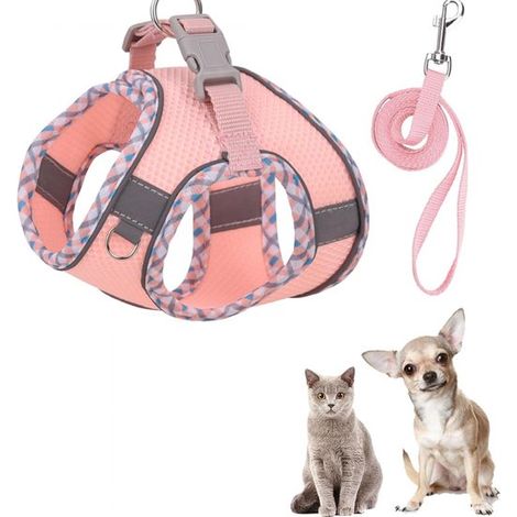 Arnés y correa para perros pequeños,Conjunto de arnés y correa para perros,Arnés para perros pequeños (1/4)