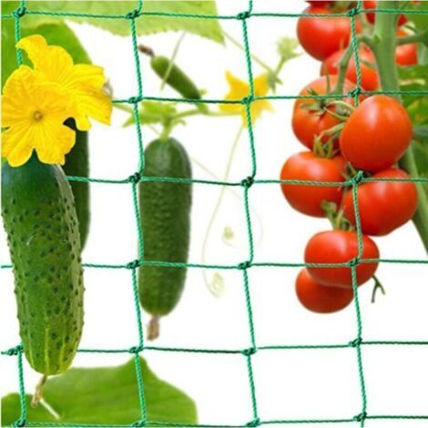 Ranknetz climbing plants and parks network for cucumbers, tomatoes and other Vogelschutznetz Vegetables Arches Network for climbing plants (1/5)