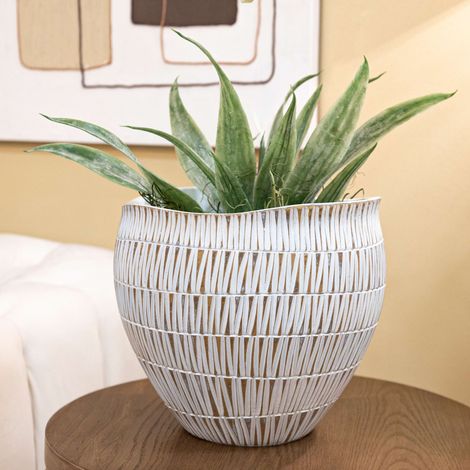 Celso, Vaso Colore Struttura Beige, Bianco