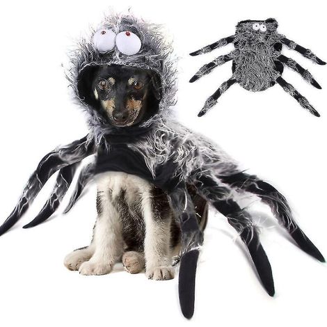 Déguisement d'Halloween pour chiot/chiot araignée - Cape/manteau - Taille 2XL (1/5)