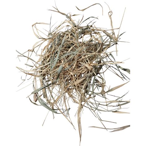 Feuilles de bambou séchées 1 l