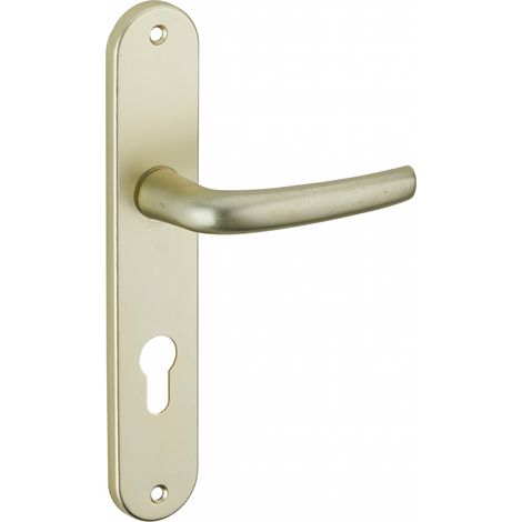 THIRARD - Ensemble de poignées pour porte d'entrée Maia à trou de cylindre, entr'axes 195mm, couleur F2 - SP (1/2)