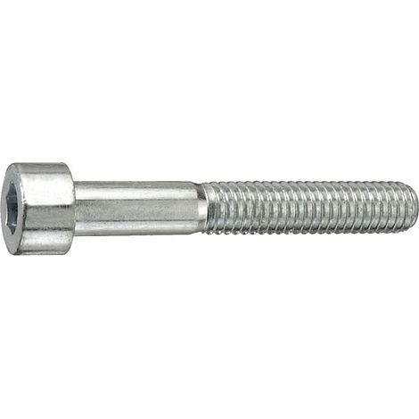 Connex Gewindeschraube M10 x 100 mm Sechskant Innen 8 mm - 1 Stk. Schrauben & Dübel (1/2)