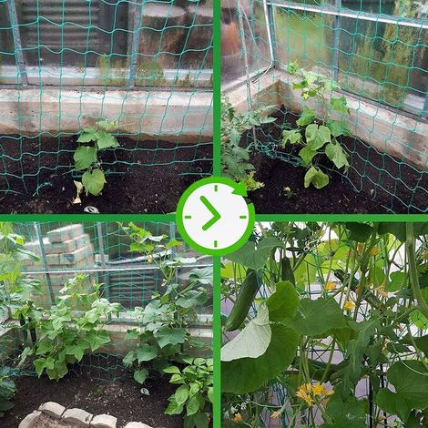 Filet à Ramer avec Maillage Large pour Une récolte particulière Bonne de concombres, tomates et Autres légumes et Plantes grimpantes – Dimensions : 1.82.7m-DPZO