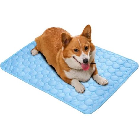 Tapis rafraîchissant pour animaux - Tapis d'été pour chien - Tapis glacé pour animaux - 62 x 50 cm - vert (1/5)